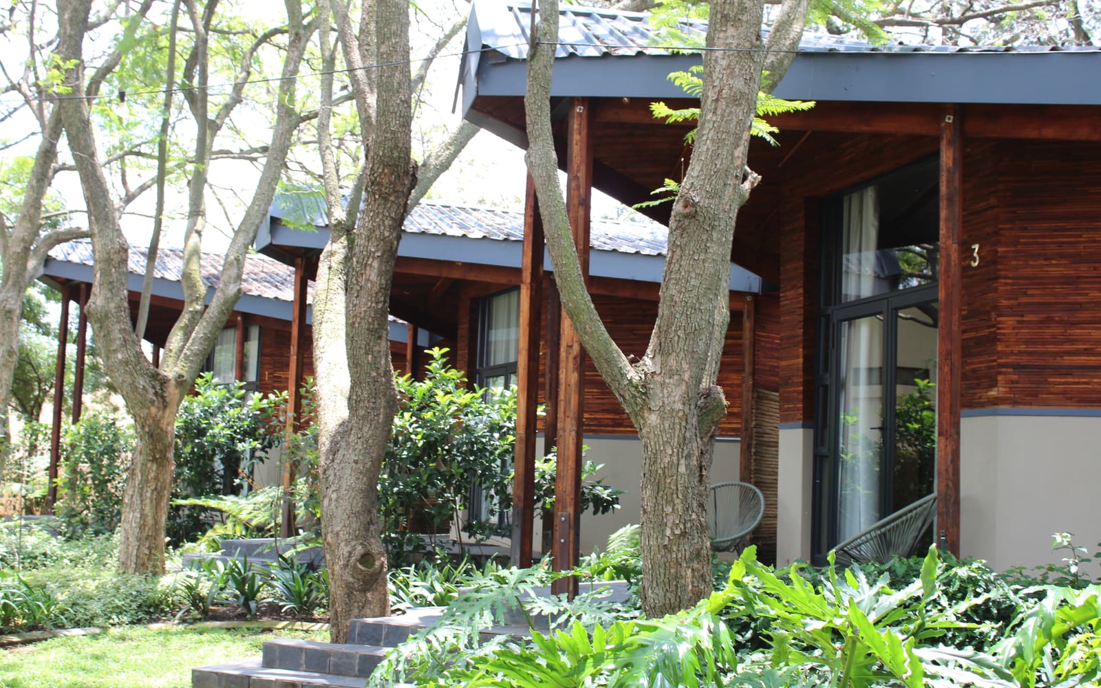 A sequence of timber-clad buildings set among mature trees in Linbro Park.