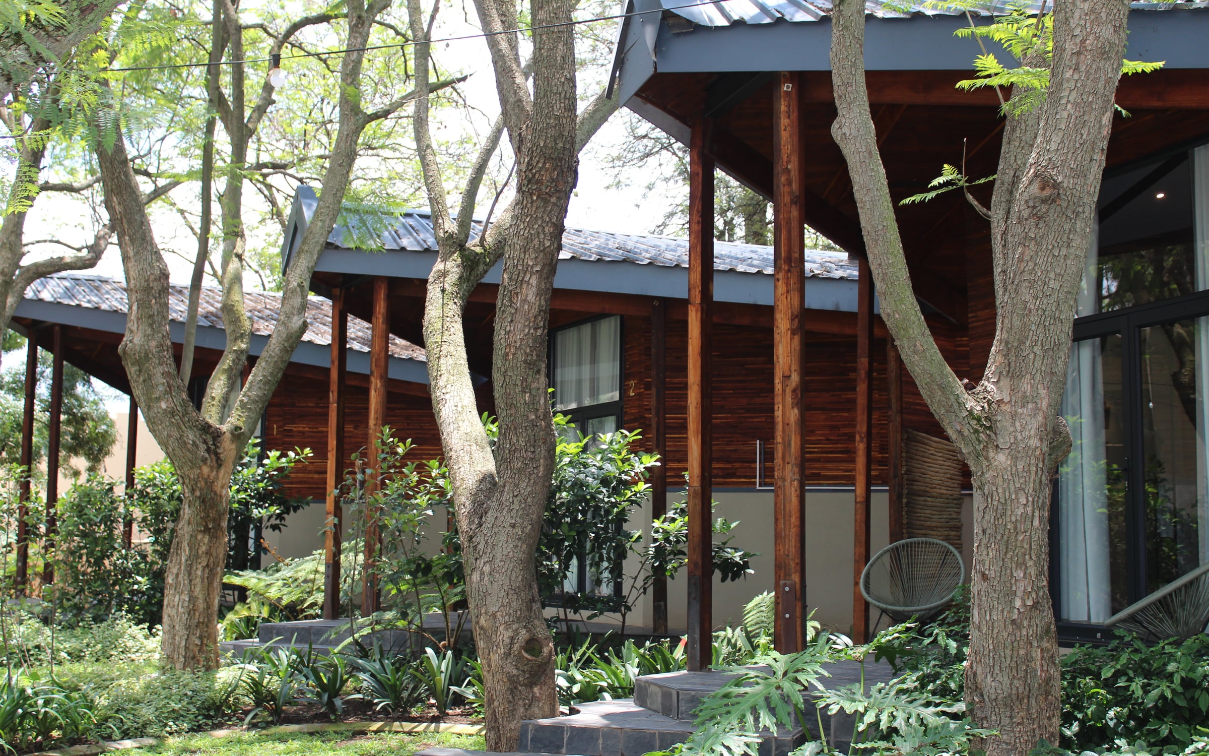 Timber-clad glamping units set among mature trees in Linbro Park.
